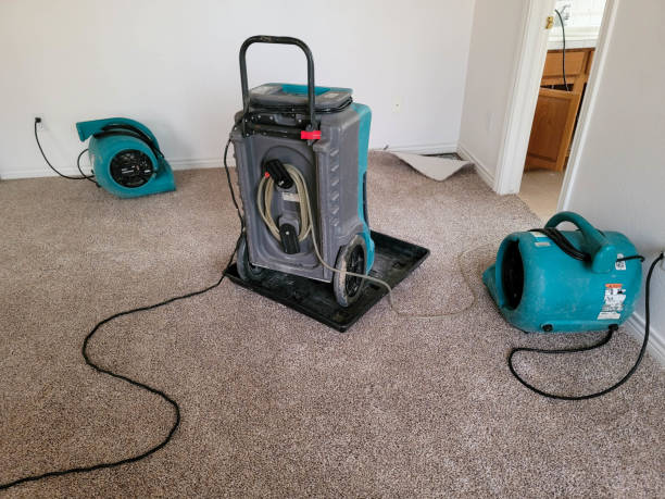Best Water damage cleanup near me  in Bay Springs, MS