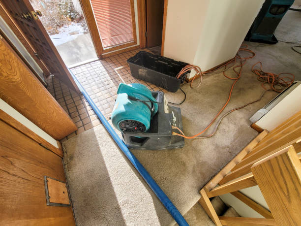 Best Emergency water damage restoration  in Bay Springs, MS