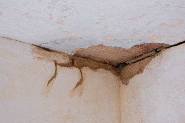 Best Flood damage cleanup  in Bay Springs, MS